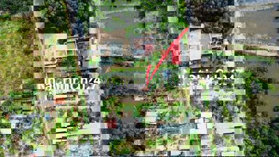 CHỦ NGỘP RA NHANH 400m2 ĐẤT LỘC AN CÁCH BIỂN 300m