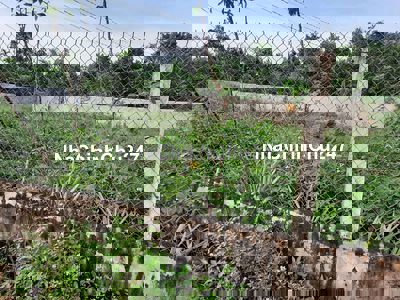 Bán đất chính chủ