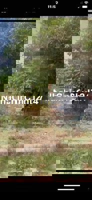 chính chủ cần bán