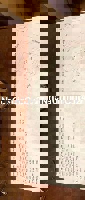 CẦN BÁN GẤP ĐẤT YÊN LẬP PHÚ THỌ ĐỂ CHỦ VÀO NAM