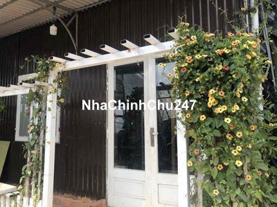 chính chủ bán nhà đường cao bá quát p7 đà lạt