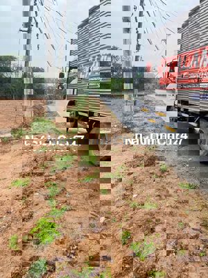 BÁN GẤP ĐẤT VƯỜN 670M² THÁI MỸ – CỦ CHI gia 1 ty 550 – chính chủ