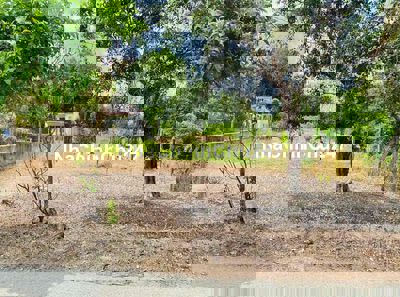 CHÍNH CHỦ ĐỨNG BÁN LÔ ĐẤT THỔ Ở MT DƯƠNG THỊ YÊM THÁI MỸ SỔ RIÊNG