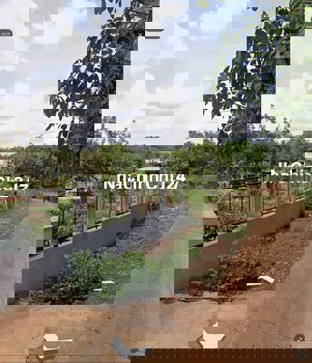 Chính chủ gửi bán đất nền tại thị trấn Ngãi Giao. 100% thổ cư