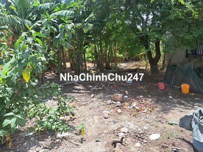 Bán Đất Bình Chánh 130m2 nở hậu còn thương lượng, đất chính chủ