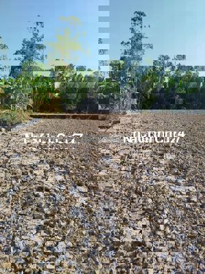 CHÍNH CHỦ BÁN ĐẤT 2MẶT TIỀN ĐƯỜNG LỘ ĐÔNG TÂY