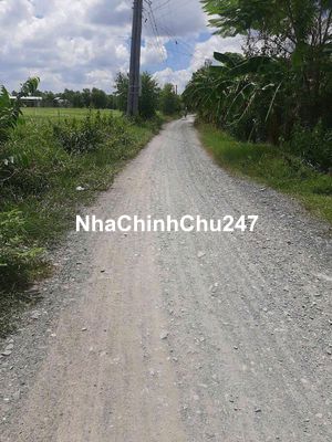 Chính chủ   :10x50 Đất Vườn MT Ấp Văn Hoá