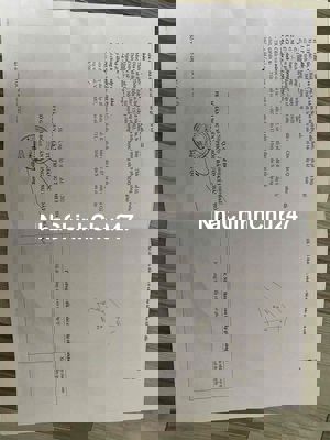 mình có mảnh đất chính chủ cần bán gấp, ai có nhu cầu liên hệ mình nhe