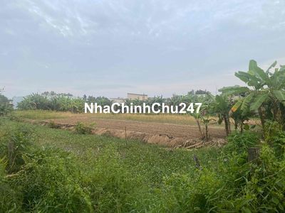 Chính chủ gia đình cần bán đất mặt tiền xã Bình Chánh