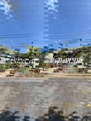 Chính Chủ Bán Ngộp 442m2 Thổ Cư, Mặt Tiền Đường Huyện DH509, Giá 700tr