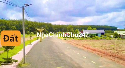 Chủ kẹt sang nhanh 290tr sang tên