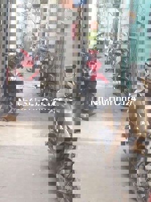 Chính chủ bán nhà SHR , khu VIP dân cư hiện hữu 2T,2PN , hoàn công đủ