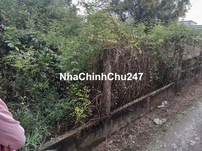 Chính chủ bán đất thổ cư hưng long