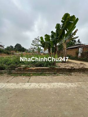 Chính chủ bán gấp lô góc hơn 100m2 thuộc Tân Xã cũ