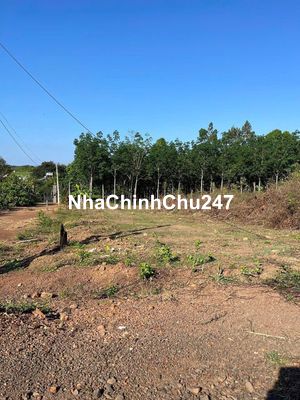 Chính chủ bán lô đất vườn đẹp 2000M2 ( 24* 84), 290 triệu, Đồng xoài