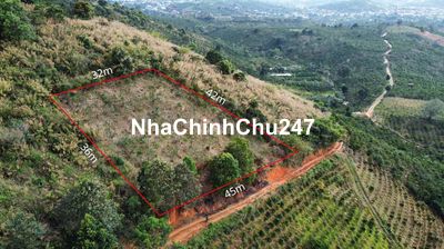Chính chủ bán 1354m2 đất vườn cafe view đẹp nghĩ dưỡng!
