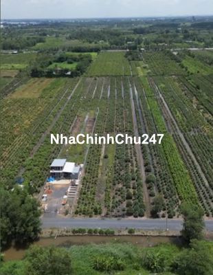 Chính chủ bán đất nông nghiệp 1.000m2 Xã Bình Lợi, TP.HCM
