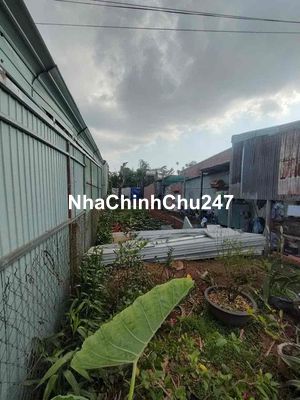 bán đất chính chủ