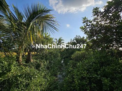 Chính chủ cần bán đất vườn