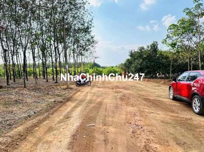 Sào ngộp chính chủ