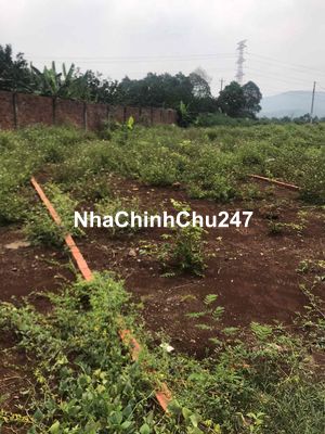 Đất chính chủ , Full thổ cư , không qua trung gian