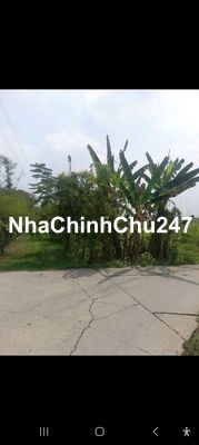 mình chính chủ cần bán thửa đất tdt 536mv fun thổ cư toàn bộ