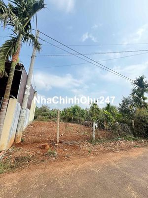 CHÍNH CHỦ BÁN 2 LÔ ĐẤT FULL THỔ CƯ KOTAM - EATU - TÂN AN