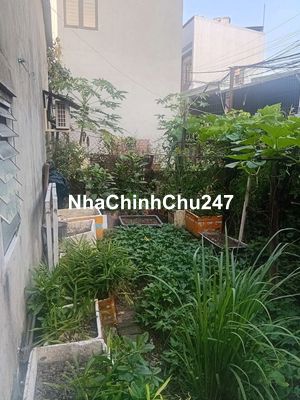 Chính chủ cần ban gấp