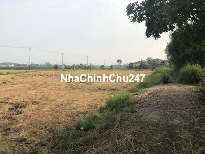 Bán 4620m2 đất ruộng chính chủ tại UBND xã Tân Tây, Thạnh Hoá