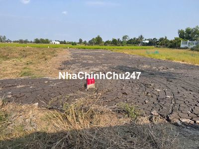 Chủ đất Tân Lân bán gấp nền thổ cư 150m2 (670 triệu).