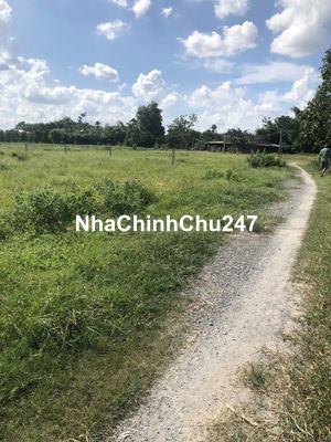 CHÍNH CHỦ BÁN GẤP ĐẤT GÒ DẦU