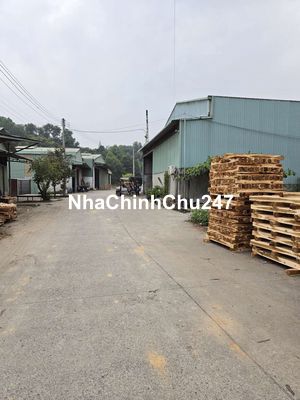Đất Chính chủ cần bán