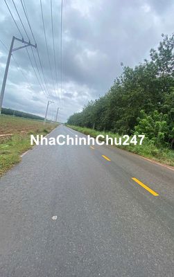 Chính chủ cần bán gấp 500 m2 đất có sẵn thổ cư tại Đồng nai