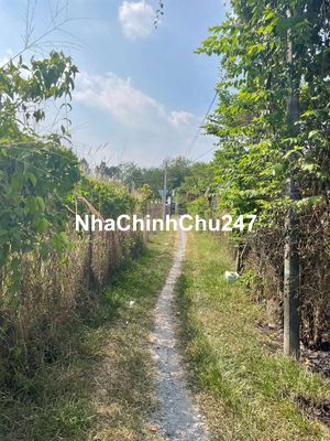 Chủ ngộp cần ra gấp lô đất củ chi thổ cư cực cao, cực kỳ khan hiếm.