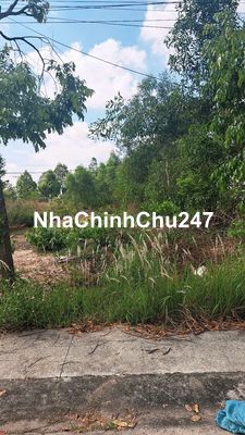 Bán đất mỹ phước 4. 5m×30m chính chủ