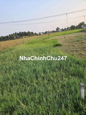 Chính chủ bán lô đất 8x43 nở hậu shr full thổ cạnh cát tường phú sinh