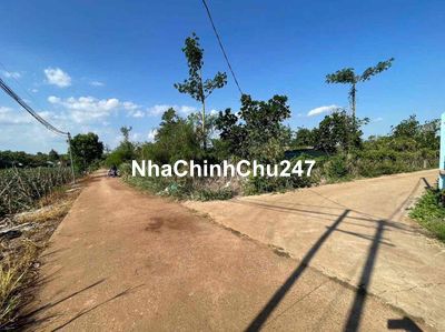 Đất siêu phẩm 2,5 sào - 3 mặt tiền- chủ hạ giá nhanh