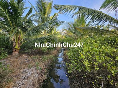 CHÍNH CHỦ CẦN BÁN 3 CÔNG VƯỜN