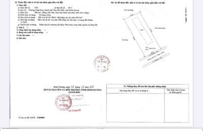 cần ra đi cứu chủ