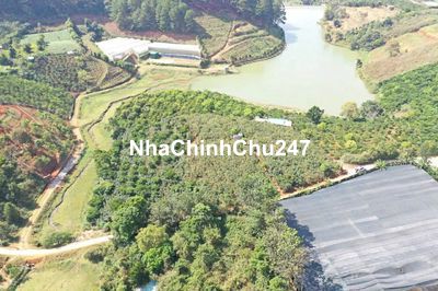 BÁN ĐẤT VƯỜN ĐÀ LẠT CHÍNH CHỦ  GIÁ RẺ NHẤT KHU VỰC