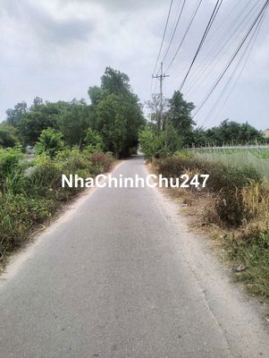 bán đất củ chi chính chủ