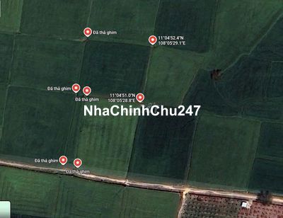 Chính chủ - Đất nông nghiệp sổ riêng 2324m2 cần bán thu hồi vốn