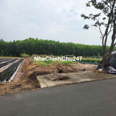 Bán đất kinh doanh gần cổng chính kcn Đất Đỏ 190.5m2