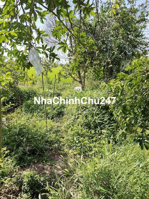 cần bán đất chính chủ