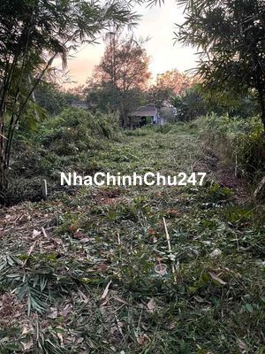 Bán đất chính chủ tại An Nhơn Tây gần tỉnh lộ 15
