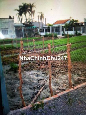 Bán đất nền