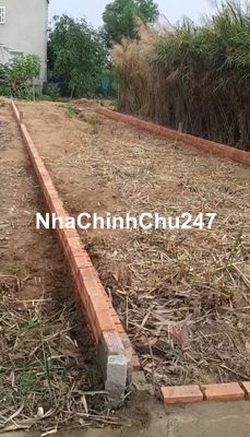 Chính chủ cần bán đất thổ cư Phước Lại Cần Giuộc