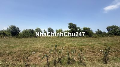 Đất bán chính chủ