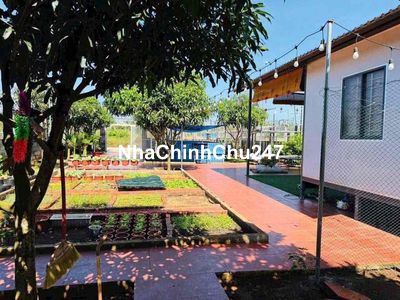 chủ kẹt tiền cần bán gấp lô đất vườn hơn 1000m2