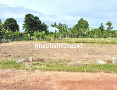 CHỦ NGỘP BANK CẦN BÁN GẤP LÔ ĐẤT DIỆN TÍCH LỚN 8X40 - TX TRẢNG BÀNG